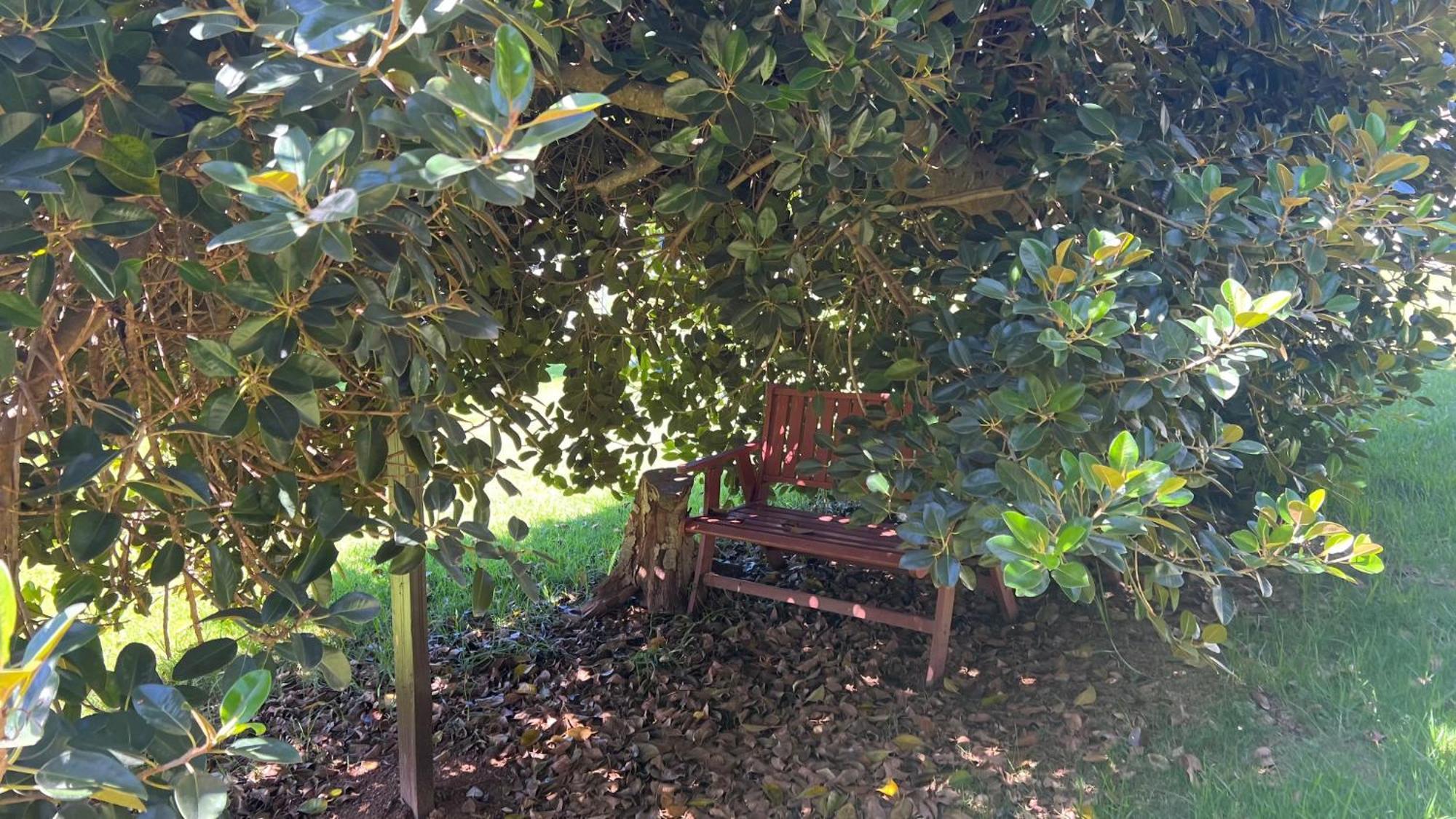 פרמברטון Karri Forest Motel מראה חיצוני תמונה